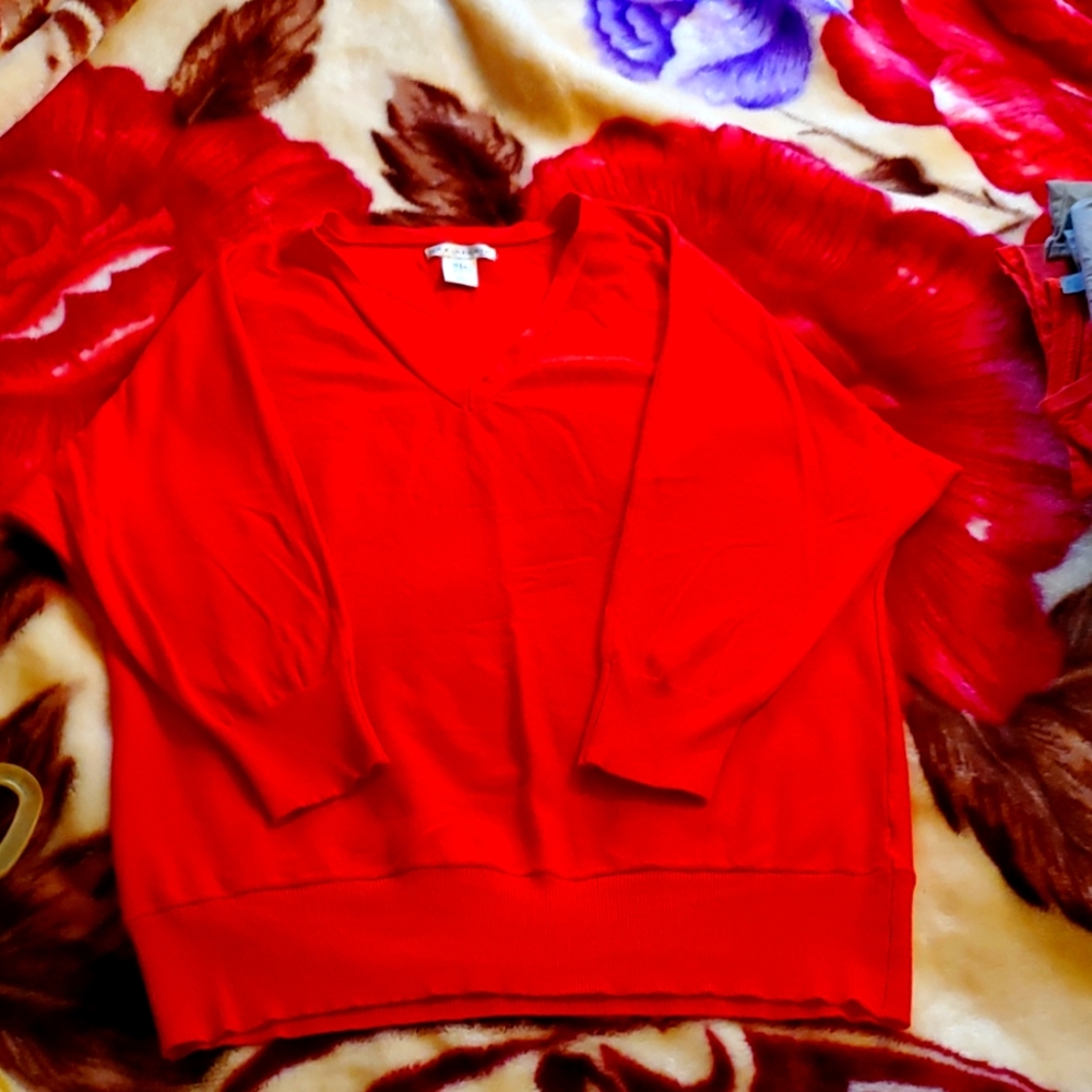 Max Studio red sweater